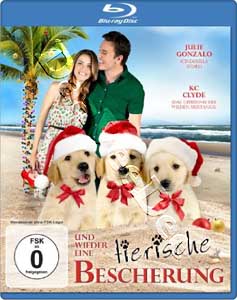 3 Holiday Tails (Blu-Ray)